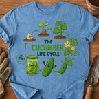 The Cucumber Life Cycle