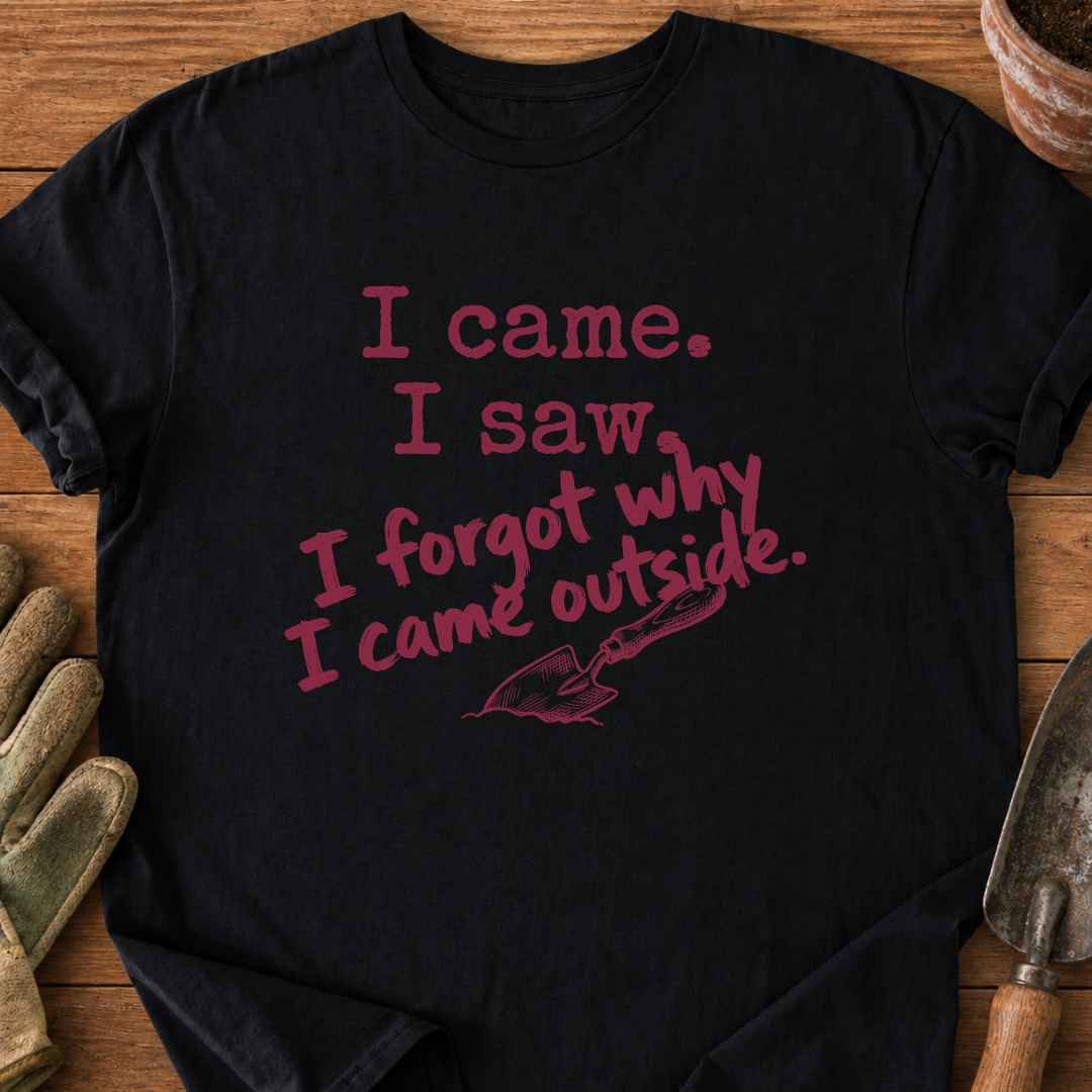 I Came I Saw T-Shirt
