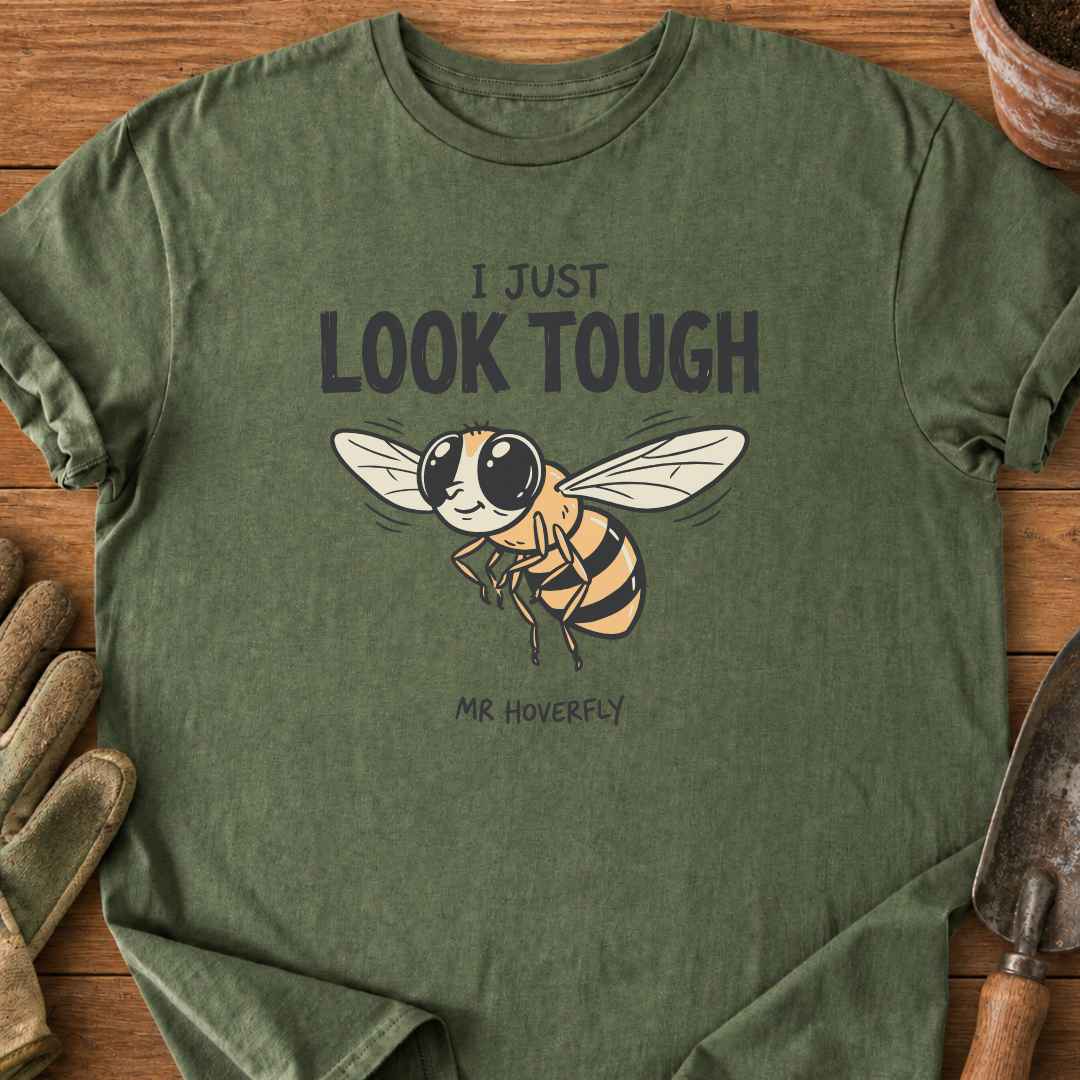 Mr Hoverfly